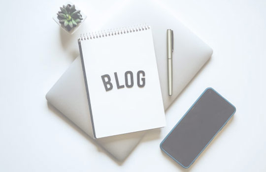 אביזרים למערת חתולים: פריט חובה לכל חובב חתולים