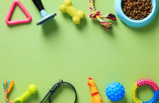 אילו מוצרים הם בביקוש גבוה עבור חיות? ‏2