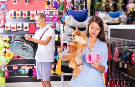 חנות לחיות מחמד2