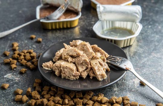 אוכל רטוב לכלבים2