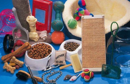 ציוד ואביזרים לחיות מחמד2