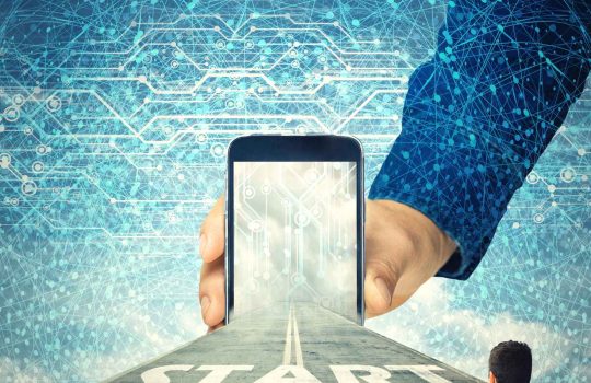 Organic SEO Company2