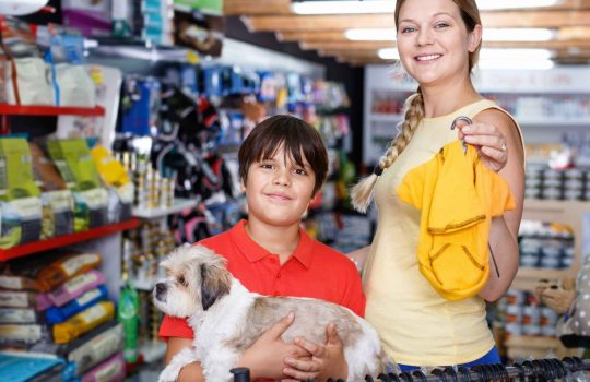 רכישת ציוד וצעצועים לכלבים און-ליין2