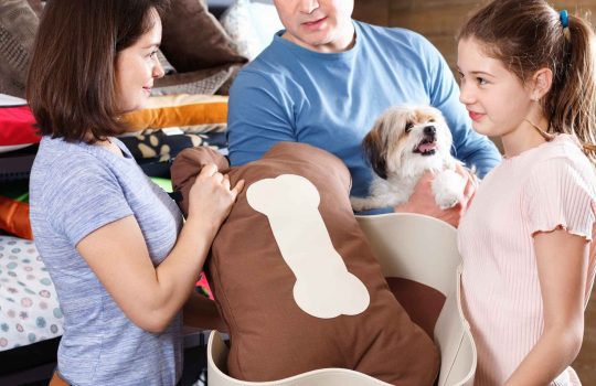 מדוע חשוב לרכוש מזון איכותי לכלבים?2